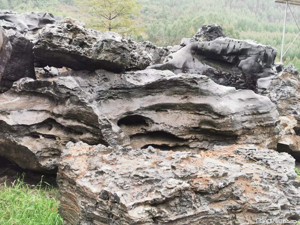 风景石、假山石大量有货，有需要的欢迎联系 - 新手上路 - 厦门生活社区 - 厦门28生活网 xm.28life.net