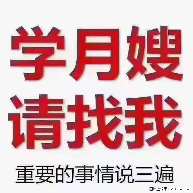 为什么要学习月嫂，育婴师？ - 其他广告 - 广告专区 - 厦门分类信息 - 厦门28生活网 xm.28life.net