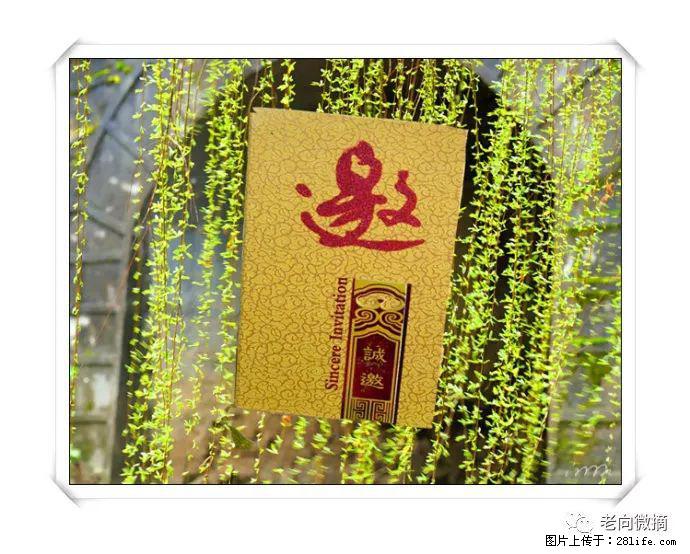 【春天，广西桂林灌阳县向您发出邀请！】开篇 - 游山玩水 - 厦门生活社区 - 厦门28生活网 xm.28life.net