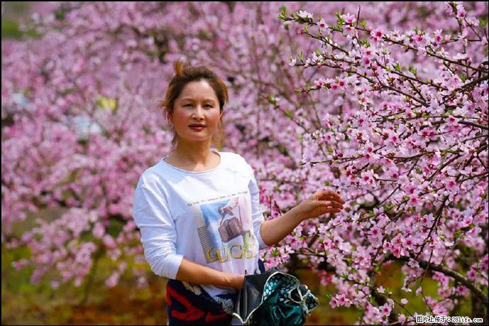 【春天，广西桂林灌阳县向您发出邀请！】官庄村有个醉美的桃花园 - 游山玩水 - 厦门生活社区 - 厦门28生活网 xm.28life.net