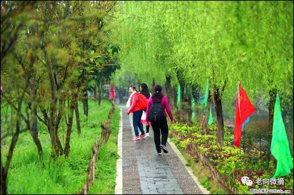 【春天，广西桂林灌阳县向您发出邀请！】江口老街又逢春 - 游山玩水 - 厦门生活社区 - 厦门28生活网 xm.28life.net