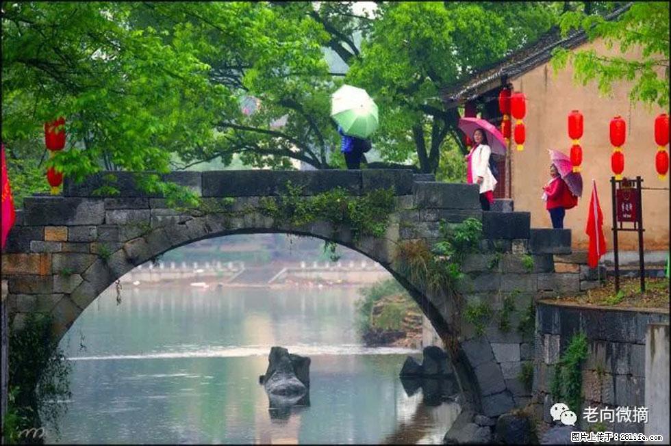 【春天，广西桂林灌阳县向您发出邀请！】江口老街又逢春 - 游山玩水 - 厦门生活社区 - 厦门28生活网 xm.28life.net