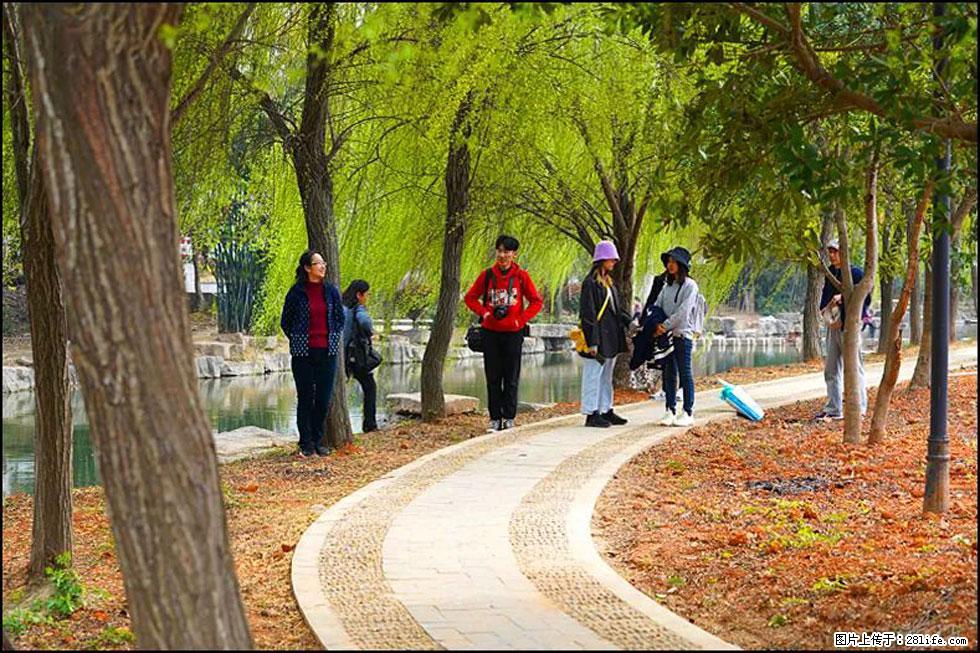 【春天，广西桂林灌阳县向您发出邀请！】江口老街又逢春 - 游山玩水 - 厦门生活社区 - 厦门28生活网 xm.28life.net