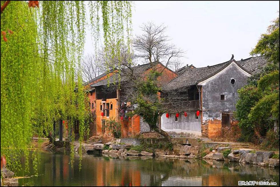 【春天，广西桂林灌阳县向您发出邀请！】江口老街又逢春 - 游山玩水 - 厦门生活社区 - 厦门28生活网 xm.28life.net