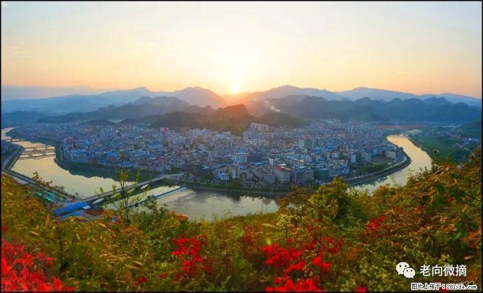 【春天，广西桂林灌阳县向您发出邀请！】登麒麟山，相约映山红 - 游山玩水 - 厦门生活社区 - 厦门28生活网 xm.28life.net