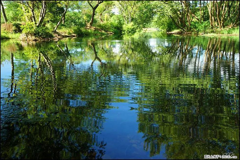 【春天，广西桂林灌阳县向您发出邀请！】熊家寨湿地公园 - 游山玩水 - 厦门生活社区 - 厦门28生活网 xm.28life.net