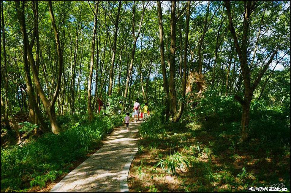 【春天，广西桂林灌阳县向您发出邀请！】熊家寨湿地公园 - 游山玩水 - 厦门生活社区 - 厦门28生活网 xm.28life.net