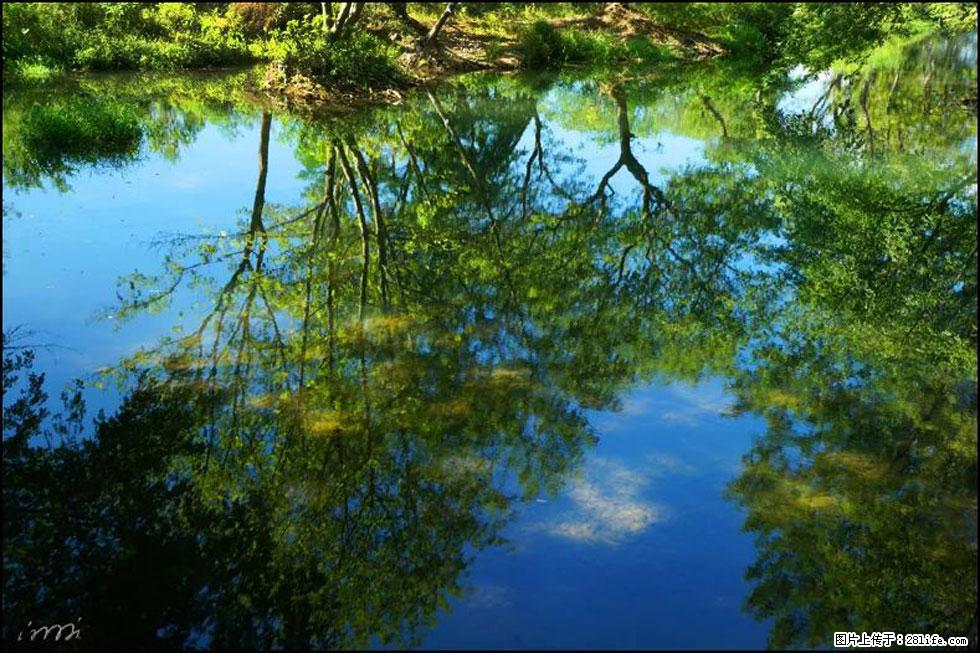 【春天，广西桂林灌阳县向您发出邀请！】熊家寨湿地公园 - 游山玩水 - 厦门生活社区 - 厦门28生活网 xm.28life.net