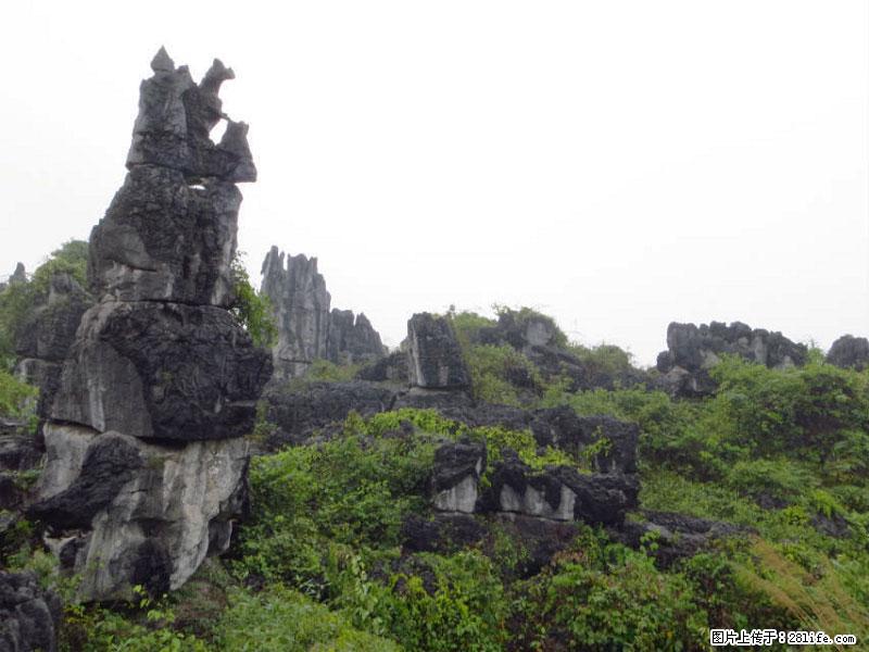 桂林旅游名城景点：灌阳文市石林 - 游山玩水 - 厦门生活社区 - 厦门28生活网 xm.28life.net