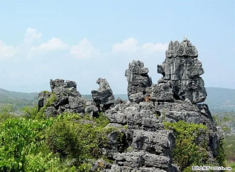 桂林旅游名城景点：灌阳文市石林 - 游山玩水 - 厦门生活社区 - 厦门28生活网 xm.28life.net