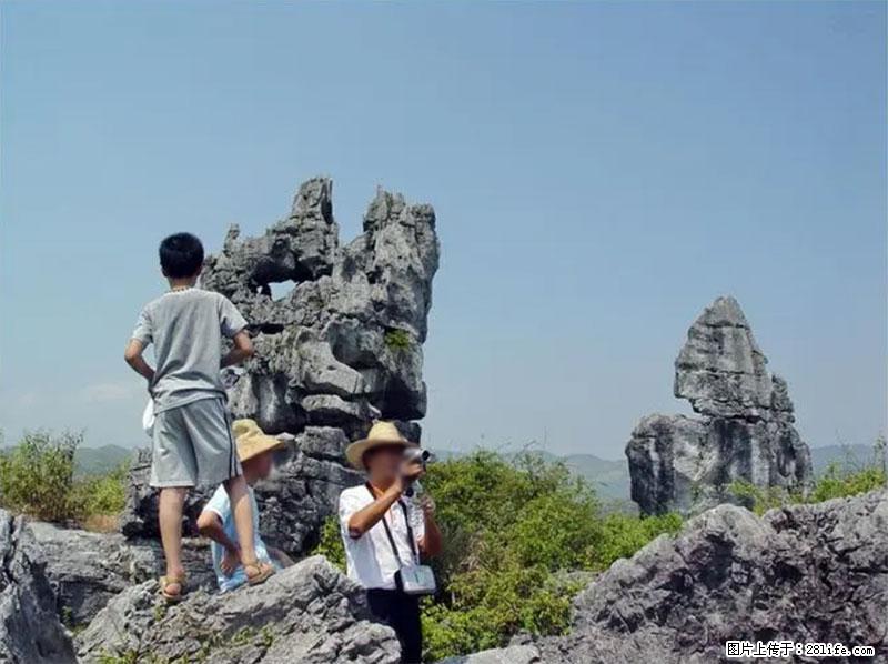 桂林旅游名城景点：灌阳文市石林 - 游山玩水 - 厦门生活社区 - 厦门28生活网 xm.28life.net