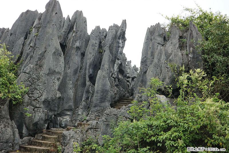 桂林旅游名城景点：灌阳文市石林 - 游山玩水 - 厦门生活社区 - 厦门28生活网 xm.28life.net