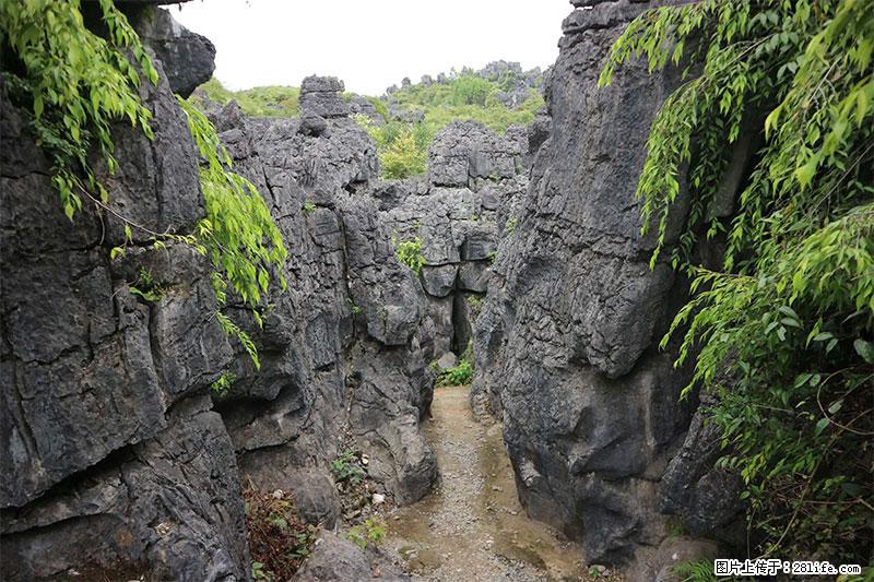 桂林旅游名城景点：灌阳文市石林 - 游山玩水 - 厦门生活社区 - 厦门28生活网 xm.28life.net
