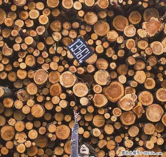 辞掉工作周游世界？现在他们在洗厕所…… - 游山玩水 - 厦门生活社区 - 厦门28生活网 xm.28life.net