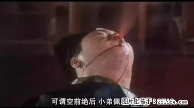 笑癫了！一女的怀孕三年未生，他终于忍不住了... - 娱乐八卦 - 厦门生活社区 - 厦门28生活网 xm.28life.net