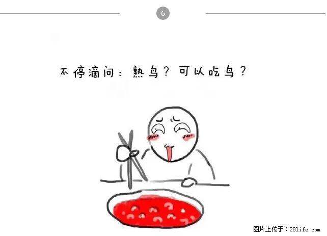 千万不要和这9种哈卵一起吃火锅！ - 美食天地 - 厦门生活社区 - 厦门28生活网 xm.28life.net