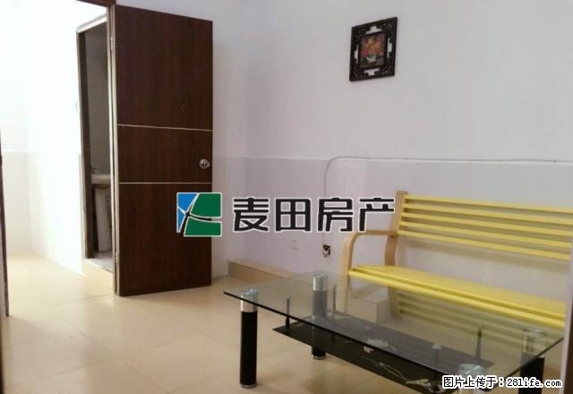 富华广场新出的1室,看房方便 - 房屋出租 - 房屋租售 - 厦门分类信息 - 厦门28生活网 xm.28life.net