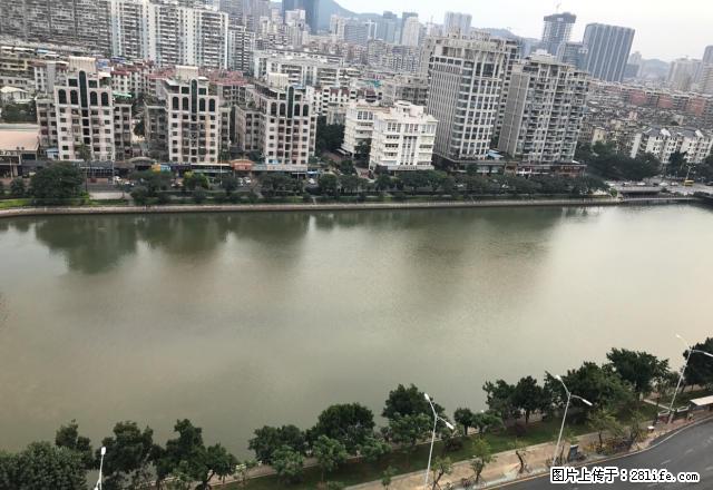 秒杀看篔筜湖4房景观通风很棒价格便宜办公 - 房屋出租 - 房屋租售 - 厦门分类信息 - 厦门28生活网 xm.28life.net
