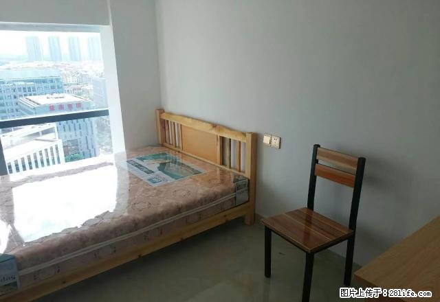 护理高新技术园精装俩房一厅，家具齐全，采光极好 - 房屋出租 - 房屋租售 - 厦门分类信息 - 厦门28生活网 xm.28life.net