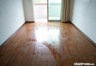 松柏区 宝龙 办公出租 2房 看房方便 停车便利 - 厦门28生活网 xm.28life.net