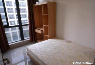个人免中介 湖里高新园 宏益华府 县后BRT两房一厅2388 - 厦门28生活网 xm.28life.net