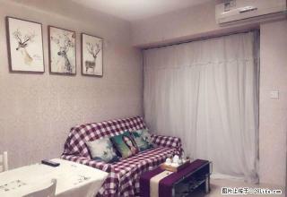 15年高端社区 精装两房 朝南户型小区管理好 地铁口 松柏 - 厦门28生活网 xm.28life.net