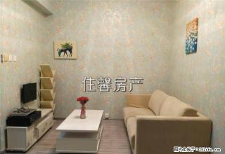 假日商城 假日花园正规1室1厅带厨卫阳台 新装出租 - 厦门28生活网 xm.28life.net
