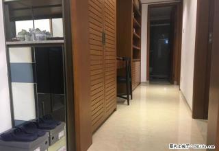 五缘湾2015年国贸新天地、精装拎包入住、看全中庭、诚意出租 - 厦门28生活网 xm.28life.net