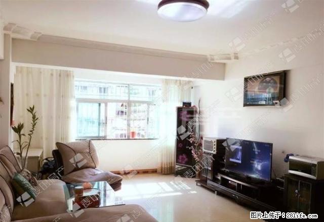 电梯三房自住装修 可拎包入住 南北通透 南湖公园旁 南湖花园 - 房屋出租 - 房屋租售 - 厦门分类信息 - 厦门28生活网 xm.28life.net