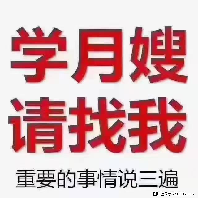 【招聘】月嫂，上海徐汇区 - 职场交流 - 厦门生活社区 - 厦门28生活网 xm.28life.net