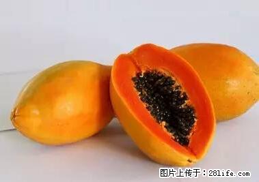 晕车、脚气、牙齿变黄、皮肤粗糙？学会这些三分钟搞定！ - 厦门生活资讯 - 厦门28生活网 xm.28life.net