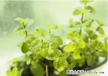 晕车、脚气、牙齿变黄、皮肤粗糙？学会这些三分钟搞定！ - 厦门生活资讯 - 厦门28生活网 xm.28life.net