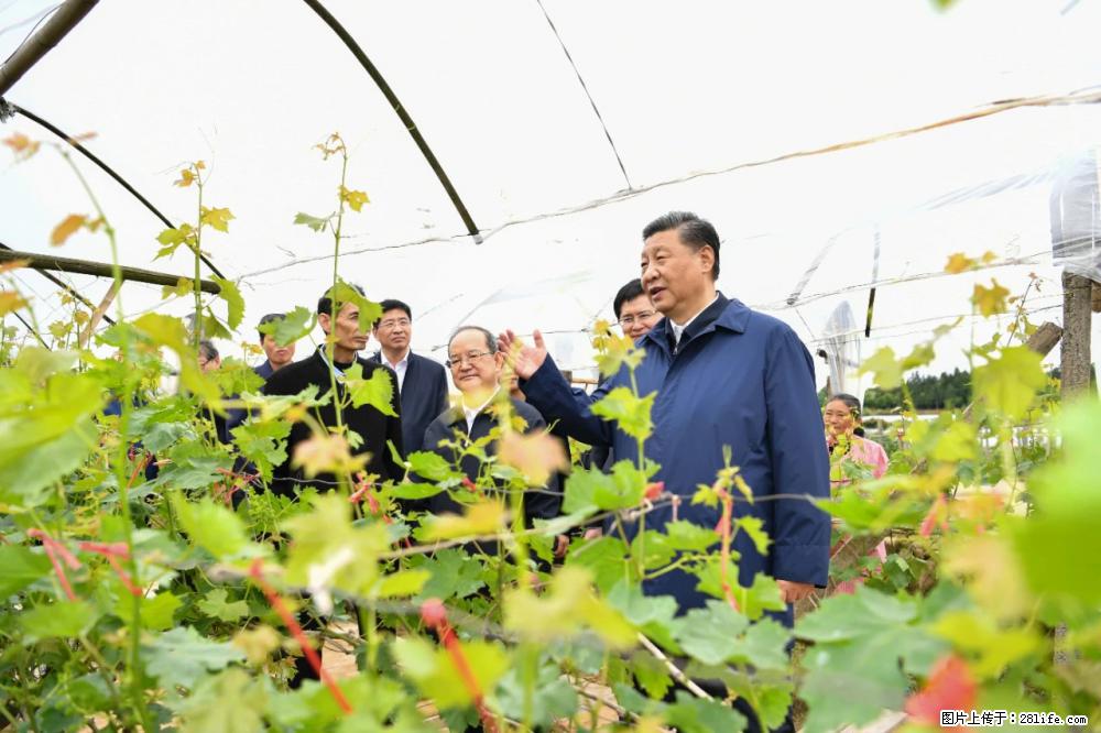 习近平赴广西考察调研 - 厦门生活资讯 - 厦门28生活网 xm.28life.net