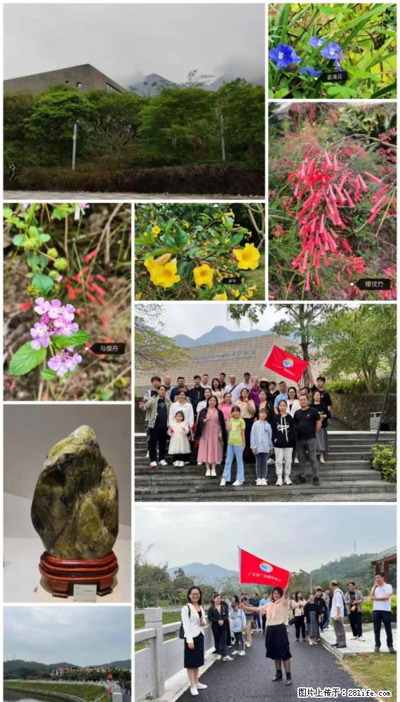 “粤灌文化 美好生活”油茶文化主题活动在广东深圳成功举办 - 厦门生活资讯 - 厦门28生活网 xm.28life.net