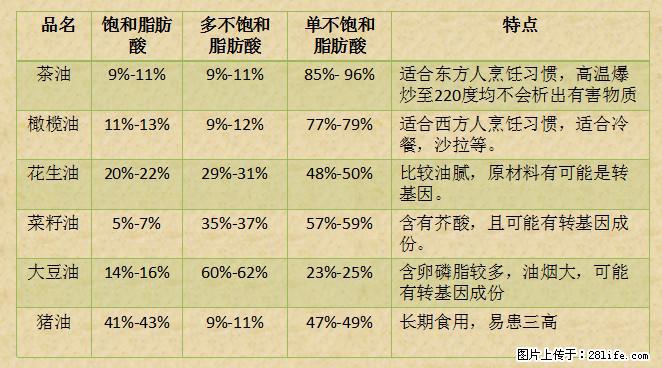 揭秘茶油的5大核心营养成分！被称为人体健康的“守护盾”！ - 厦门生活资讯 - 厦门28生活网 xm.28life.net