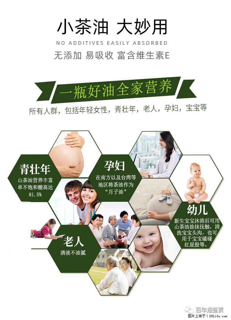 世界没有真相，只有认知，最好的食用油是中国的山茶油！ - 厦门生活资讯 - 厦门28生活网 xm.28life.net