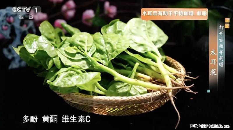 比牛奶补钙还厉害！凉血解毒、稳血糖...这菜冬天必吃，很多人却当草 - 厦门生活资讯 - 厦门28生活网 xm.28life.net