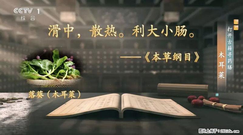 比牛奶补钙还厉害！凉血解毒、稳血糖...这菜冬天必吃，很多人却当草 - 厦门生活资讯 - 厦门28生活网 xm.28life.net