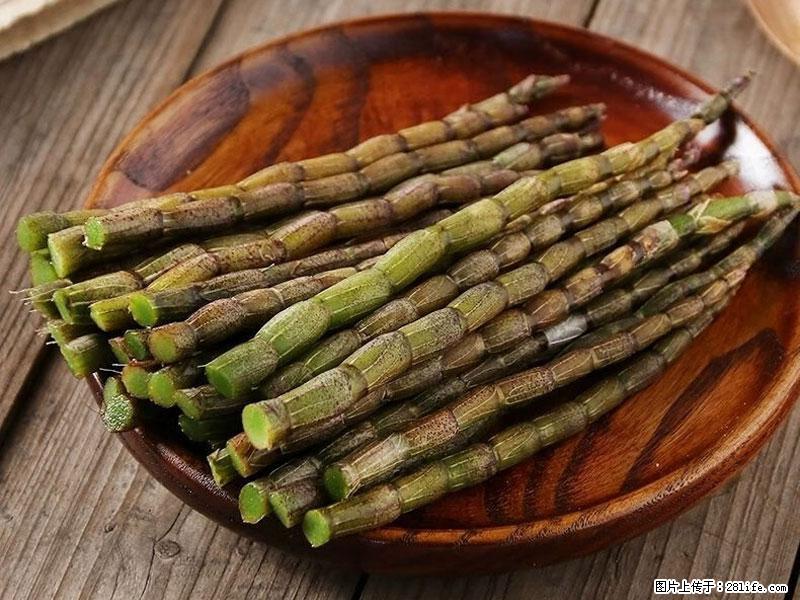 铁皮石斛的作用与功能主治 - 厦门生活资讯 - 厦门28生活网 xm.28life.net