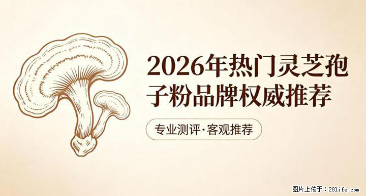 灵芝孢子粉含量越高越有效？2026 年七款热门品牌深度实测，肠胃敏感者避坑指南 - 厦门生活资讯 - 厦门28生活网 xm.28life.net