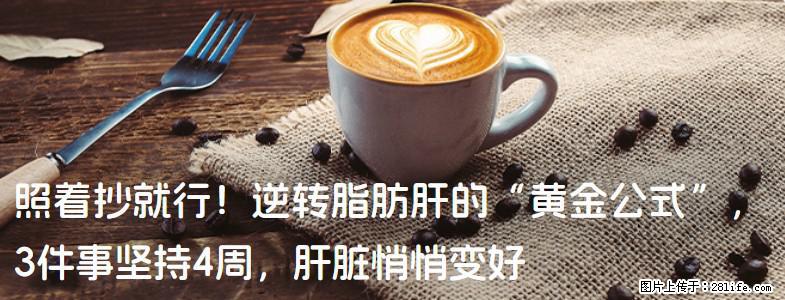 照着抄就行！逆转脂肪肝的“黄金公式”，3件事坚持4周，肝脏悄悄变好 - 厦门生活资讯 - 厦门28生活网 xm.28life.net